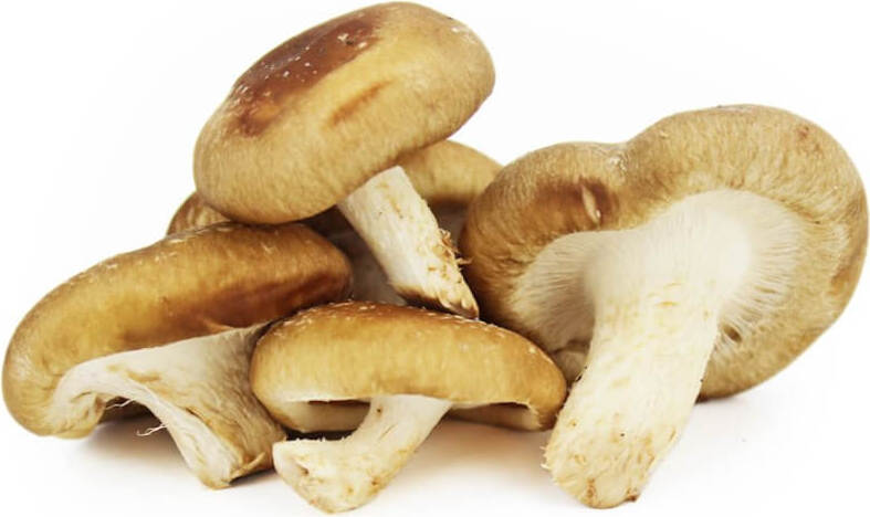 BIO FRISCHE SHIITAKE-PILZE (ca. 0,20 kg)