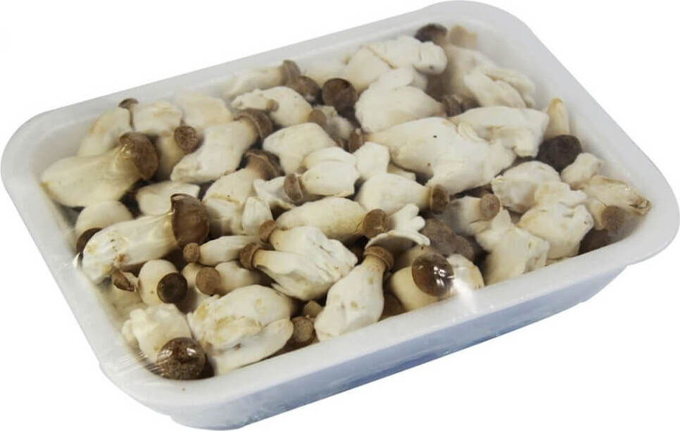 فطر إيرينجي بيبي (شتاينبيلزه) طازج عضوي (بولندا) (حوالي 200 جم)