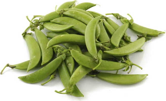 Velké balení (kg) - čerstvý zelený hrášek BIO (cca 5 kg)