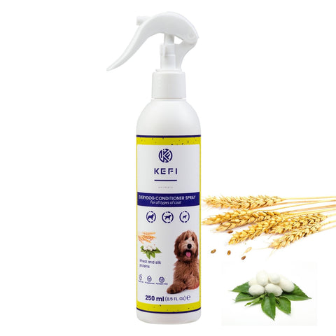 Everydog Spülungsspray 250ml - KEFI ANIMALS