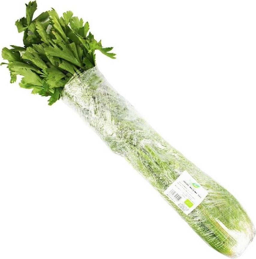 Frisk ØKO selleri (ca. 1 kg)