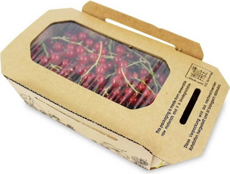 Čerstvé červené rybízy (polské) BIO (cca 2 kg)