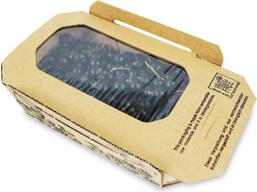 Čerstvé černé rybízy (polské) BIO (cca 2 kg)