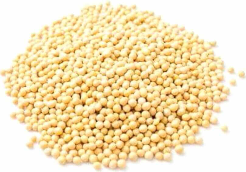 BIO KACANG SOYA (BAHAN MENTAH) (25 kg)