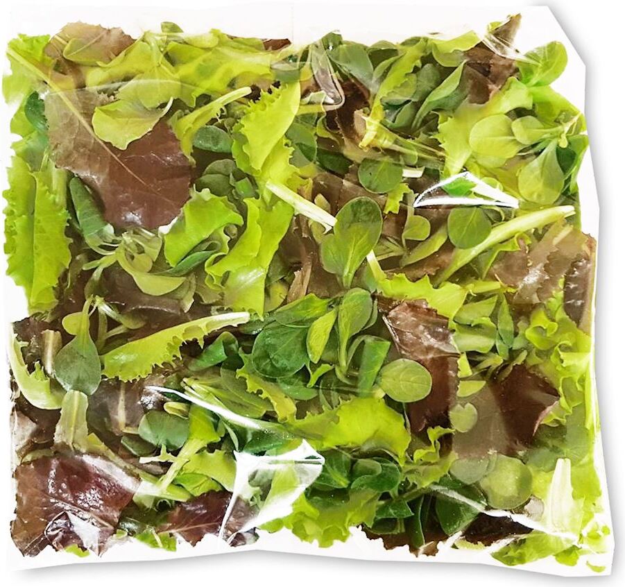 Färsk, osköljd ekologisk salladsmix (ca. 0,250 kg)