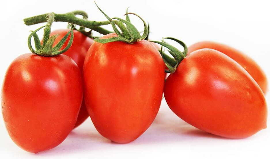 Großpackung (กก.) - Piccadilly-Tomaten am Zweig สด BIO (ประมาณ 3 กก.)