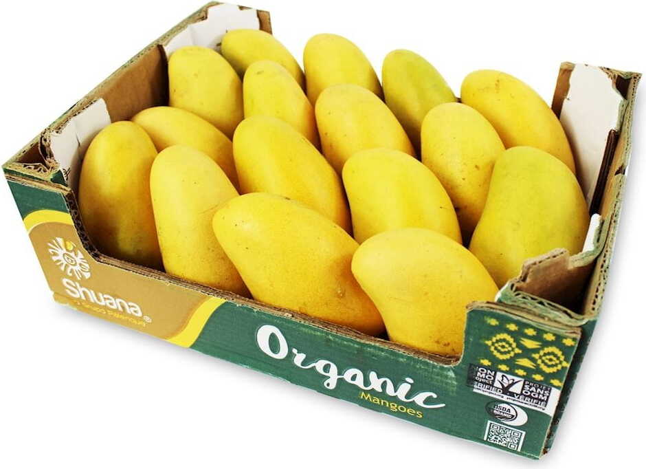 Pachet mare (buc.) - mango proaspăt Ataulfo BIO (aprox. 16 buc.)