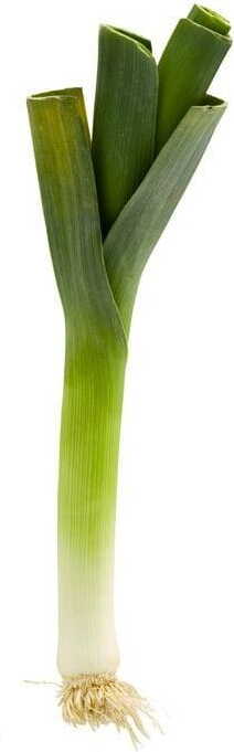 Großgebinde (kg) - čerstvý pórek BIO (cca 10 kg)