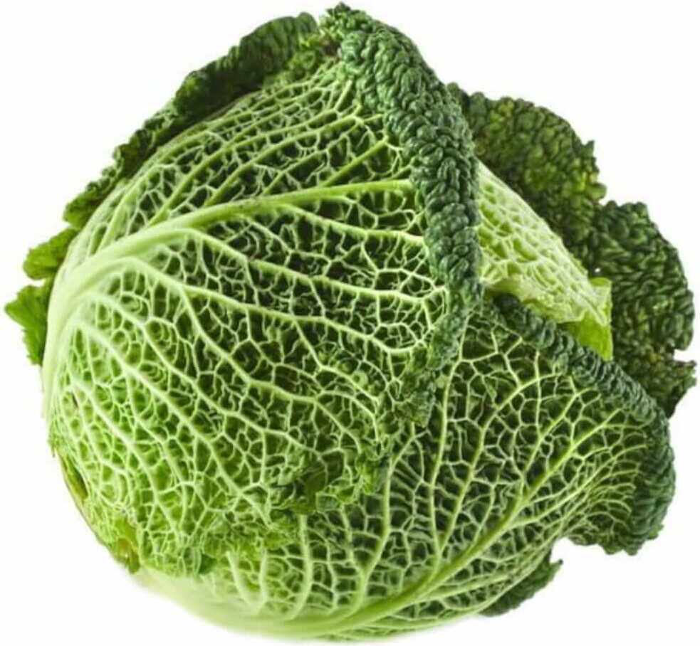 Čerstvý kapusta BIO (cca 0,50 kg)