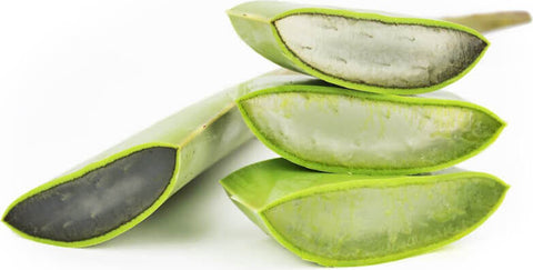 FRISCHE BIO-ALOE (ca. 0,50 kg)