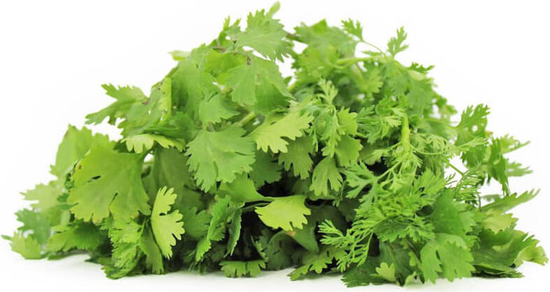 FRESH ORGANIC KORLENDER (approx. 50 g)