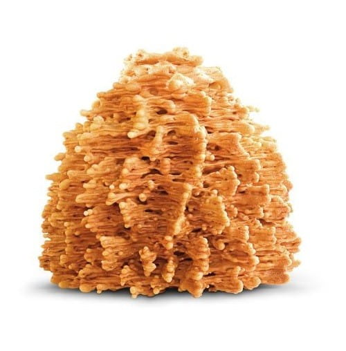 Sękacz Podlaski BIO 500 g - cukrovinky ZANIEWICZ