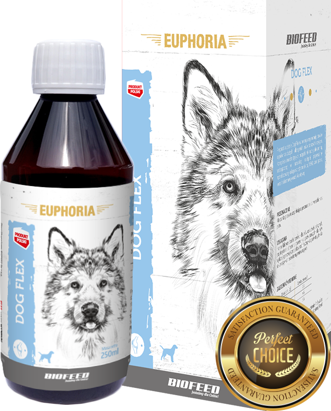 EUPHORIA Dog Flex Gelenkpräparat für Hunde 250ml - BIOFEED