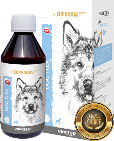 EUPHORIA Dog Flex Gelenkpräparat für Hunde 250ml - BIOFEED