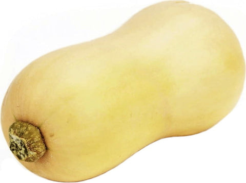 Großgebinde (kg) - Butternut Butternusskürbis frisch BIO (ca. 10 kg)