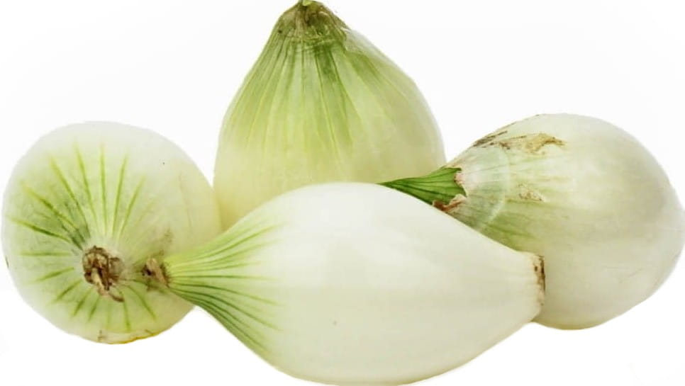 BAWANG PUTIH SEGAR ORGANIK (ca. 0,50 kg)
