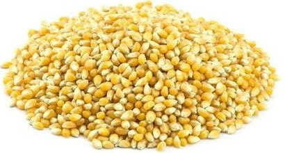 POPCORN (MAÏS) BIO (MATIÈRES PREMIÈRES) (25 kg)