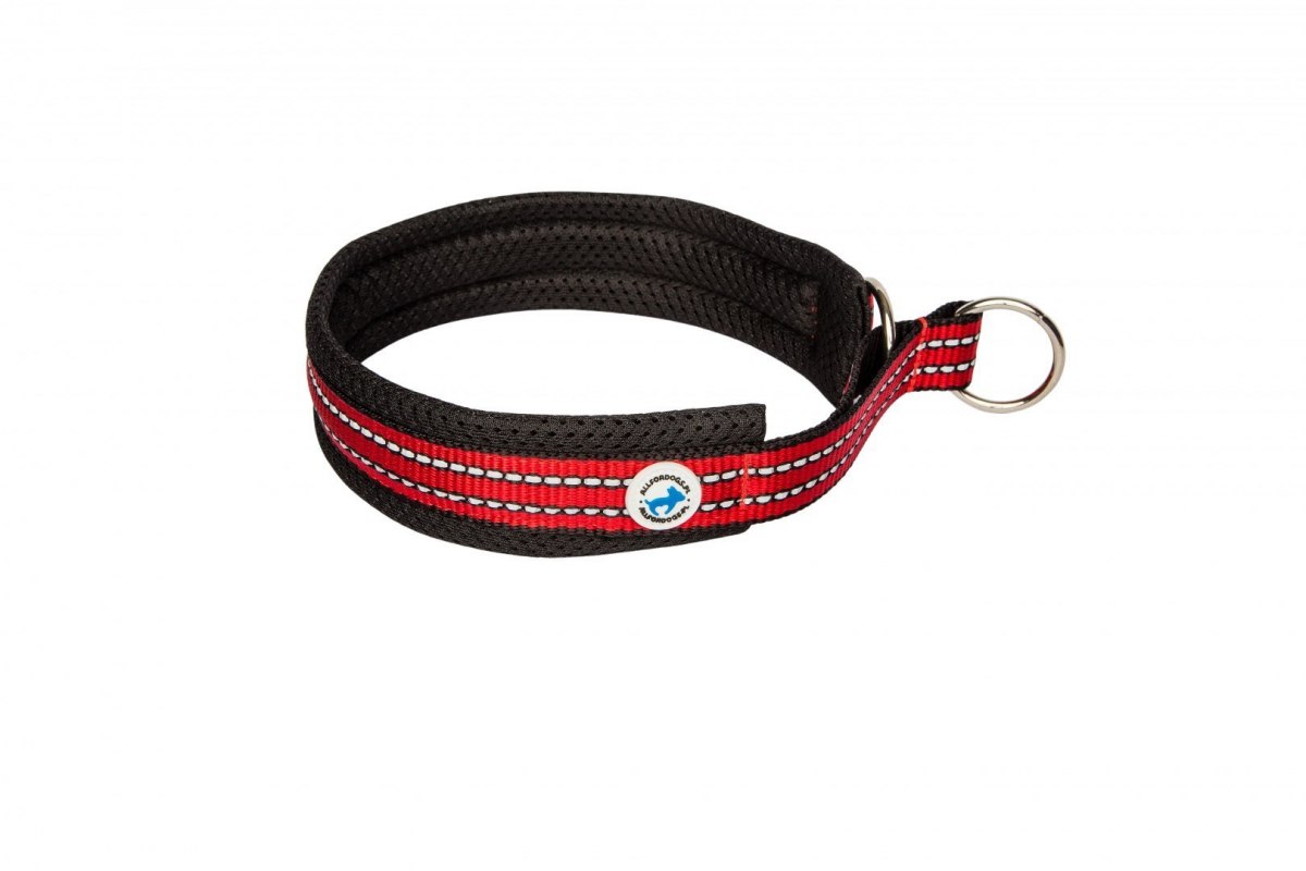 Half Choke Halsband Rot 40 - ALLES FÜR HUNDE