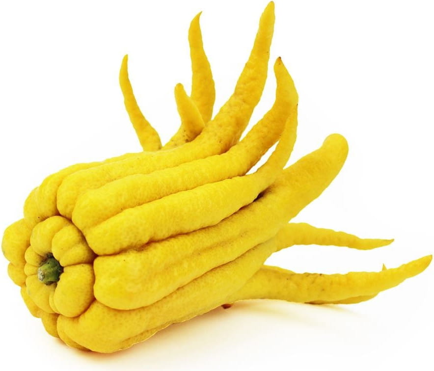 FRESH BUDDY HAND BIO (ca. 0,20 kg)