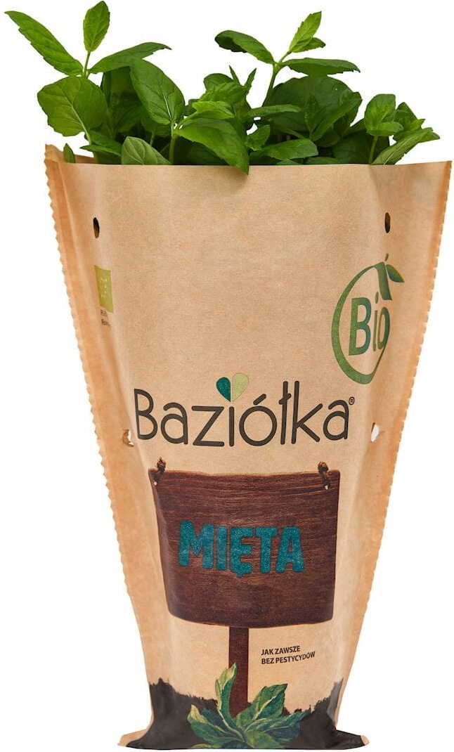 Frisk Topmynte BIO (polsk) (1 stk)