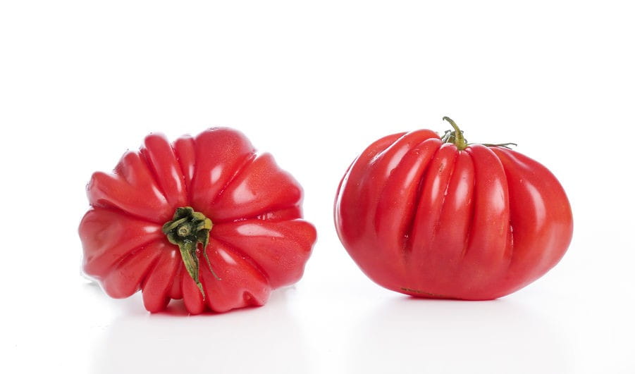Tomato Pemberontak Segar BIO (lebih kurang 0.50 kg)