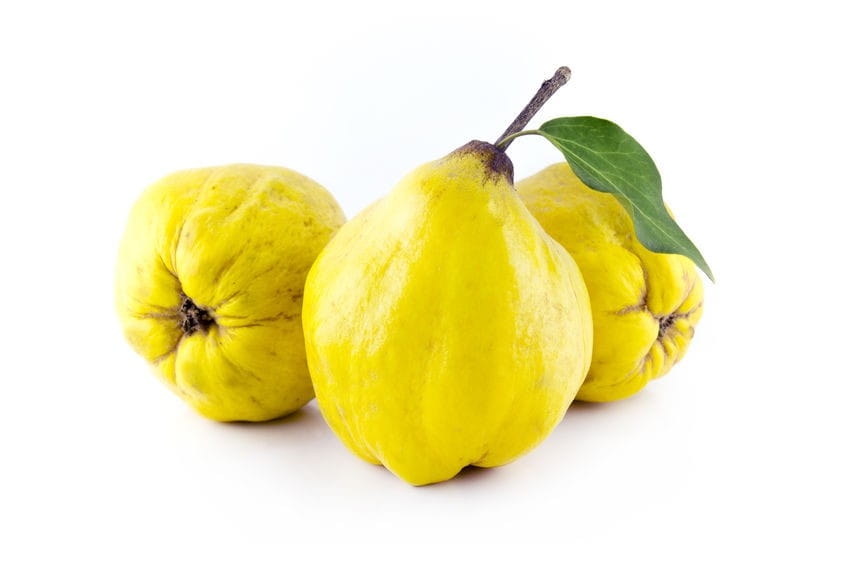 Bulk pack (kg) - Fresh Organic Quince (approx. 5 kg)