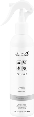 Trockenshampoo [DRY CARE] 250 ml - DR LUCY