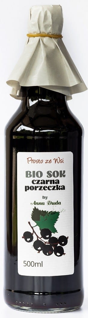 Suco de groselha preta NFC BIO 500 ml - DIRETO DA ALDEIA