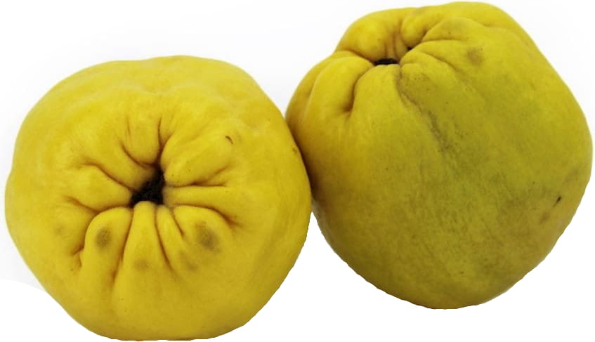Buah Quince BIO Segar (lebih kurang 0.50 kg)