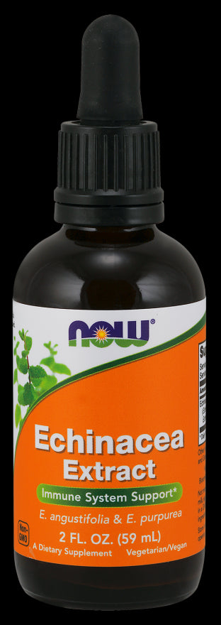 Echinacea Echinacea-kivonat 59 ml NOW FOODS
