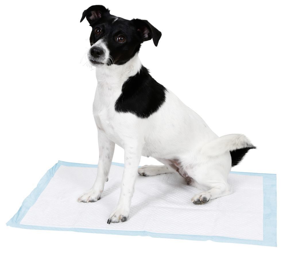 Trainingsmatte zum Pinkeln lernen für einen Hund 60x90cm 20St [80741] - KERBL