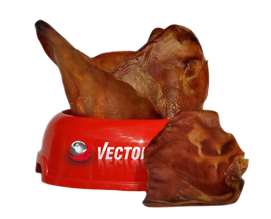 Große Schweineohren [S40] 10 Stück - VECTOR-FOOD