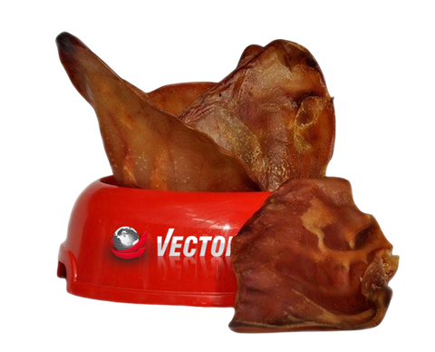 Große Schweineohren [S40] 10 Stück - VECTOR-FOOD