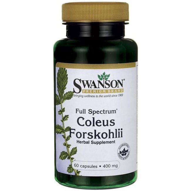 Indian Nettle Forskolin 400 mg Coleus Forskohli 60 Capsules SWANSON