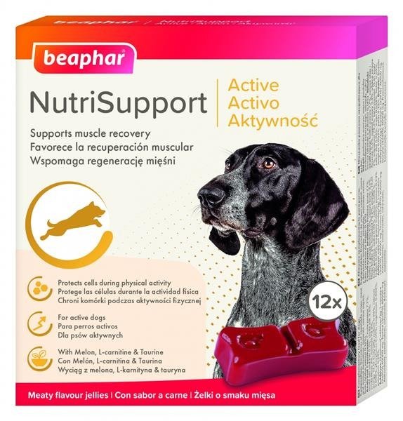 NUTRISUPPORT ACTIVITY 12 Stück - Gelees zur Unterstützung der Gelenke für Hunde - BEAPHAR