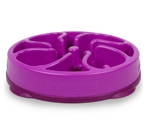 MINI/MEDIUM Slow Food Plastiknapf [51005] - FUN FEEDER