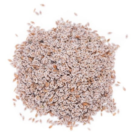 BIO EIERSAAT (ROHSTOFF) (25 kg)