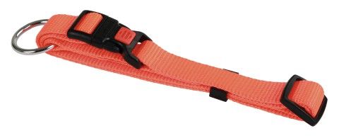 Hundehalsband Miami 30-45cm x 15mm Orange [82063] - KERBL