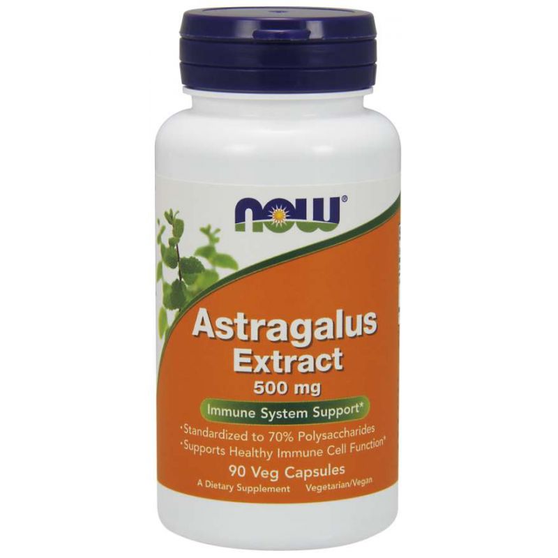 Astragalus-Extrakt Astragalus 500 MG 90 Kapseln NOW FOODS