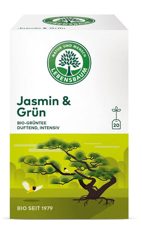 Grüner Jasmintee in Express BIO (20 x 15 g) - LEBENSBAUM