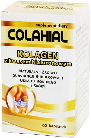 Kollagen mit Hyaluronsäure 60 Kapseln GORVITA