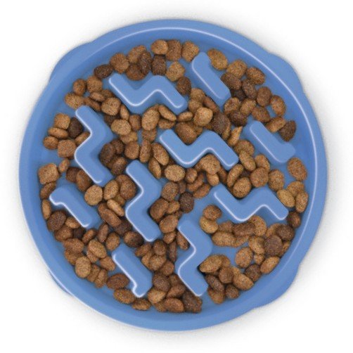 Plastik Slow Food Napf GROSS blau [67831] - FUN FEEDER