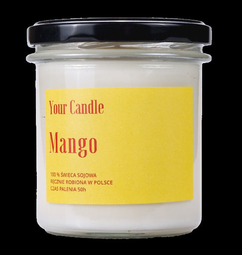 Mango Sojakerze 300 ml - DIN KERZE