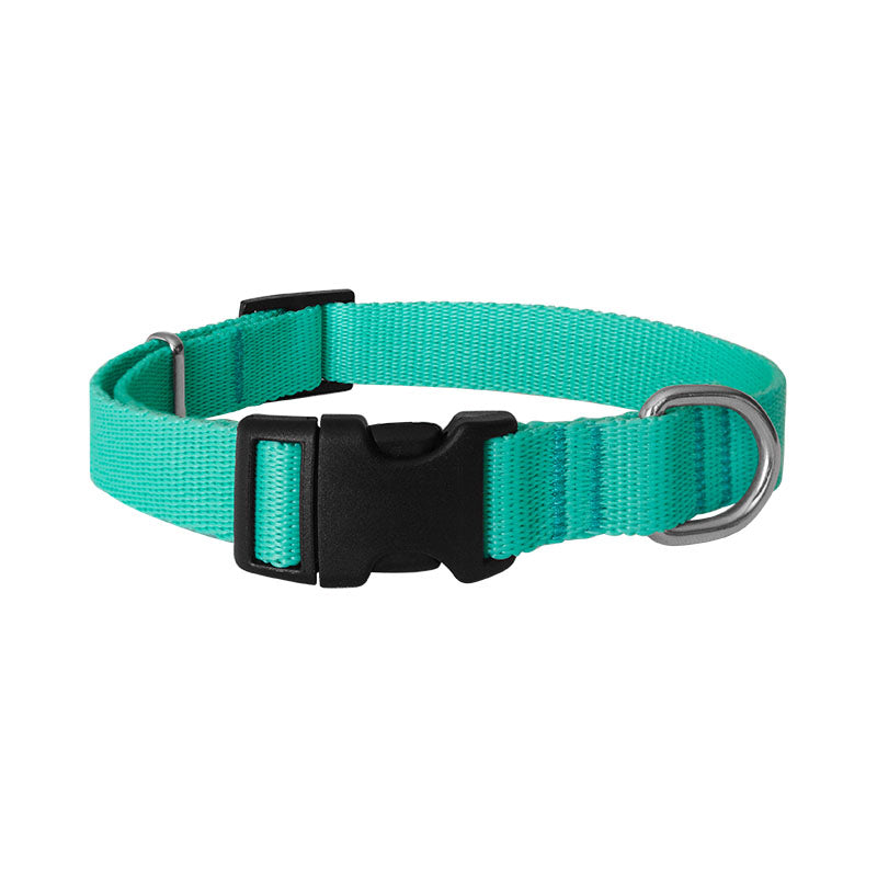 Glattes verstellbares Halsband 16 - mint - CHABA