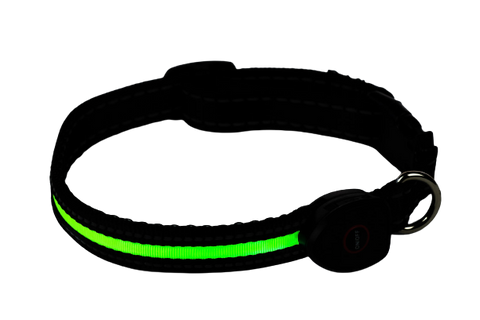 COMFORT LED-Hundehalsband M grün [OLEDQMGN] - PETLOVE