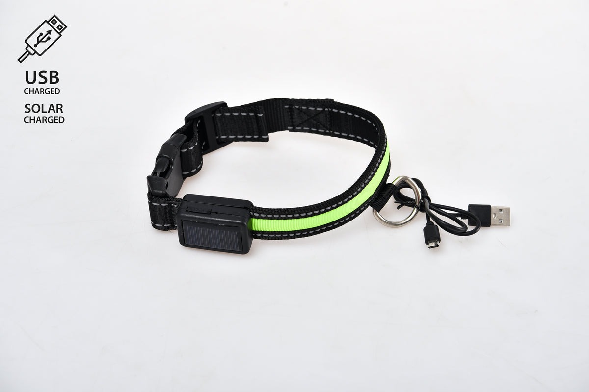 LED-Hundehalsband SOLAR S grün [OSOLARSGN] - PETLOVE