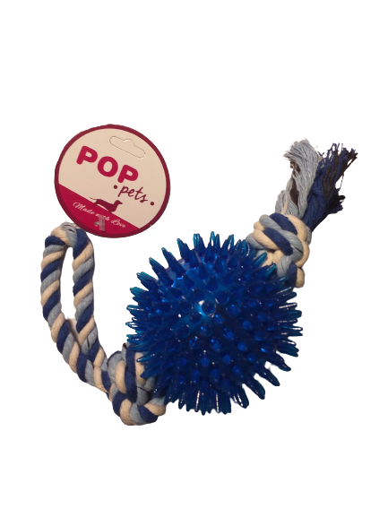 Seeigelkugel an Schnur, 25cm, Farbmix [06430] - POP PETS