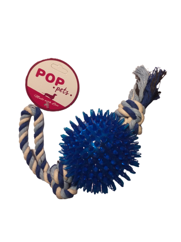 Seeigelkugel an Schnur, 25cm, Farbmix [06430] - POP PETS