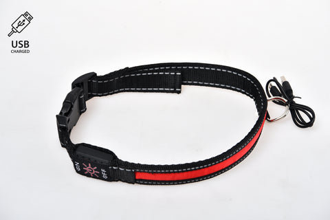 STANDARD LED-Hundehalsband M rot [OLEDUSBMRD] - PETLOVE