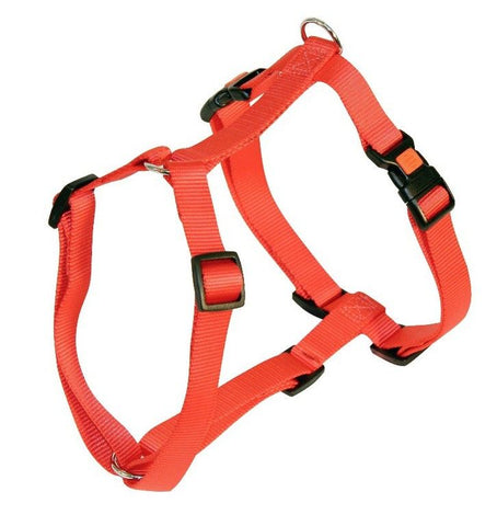 Miami Hundegeschirr 75-100cm x 25mm Rot [84364] - KERBL